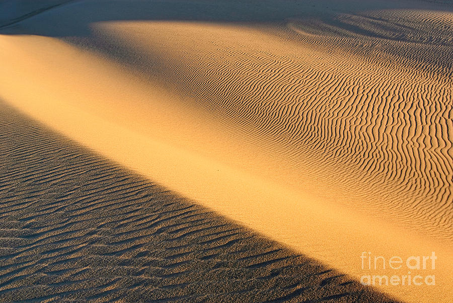 Pattern Photograph - Beautiful abstract sand dunes of the Rancho Guadalupe Dunes Preserve in California by Jamie Pham