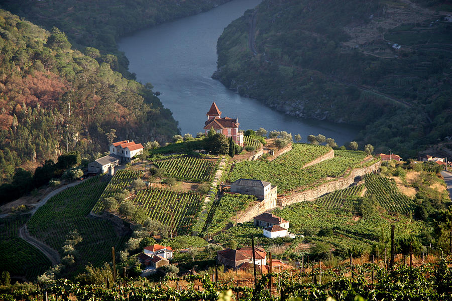 Beautiful aerial landscape shot of Douro Valley Photograph by LuisPortugal