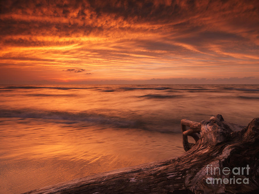 Beautiful atmospheric sunset scenery of driftwood on lake shore Photograph by Maxim Images Exquisite Prints