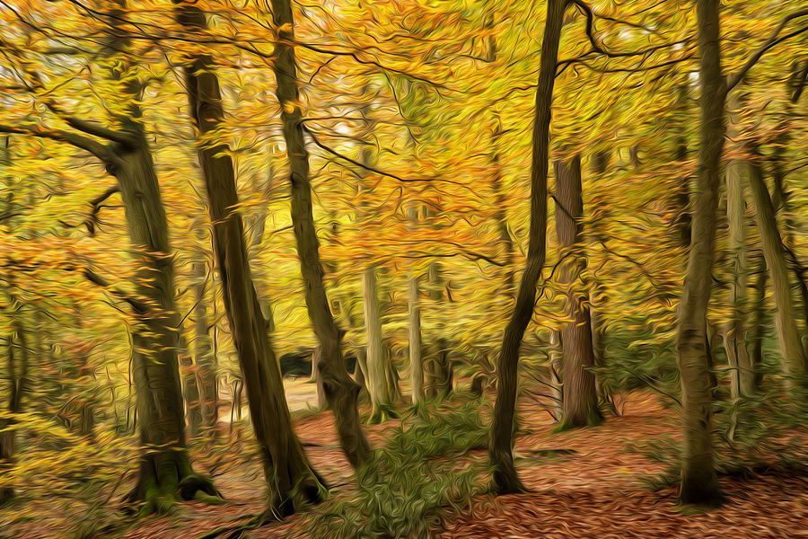 Beautiful Autumn Fall Forest Landscape Digital Painting Photograph By Matthew Gibson