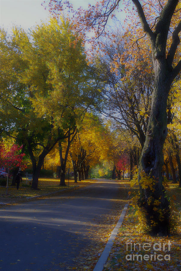 Beautiful Autumn  Photograph by Frank J Casella