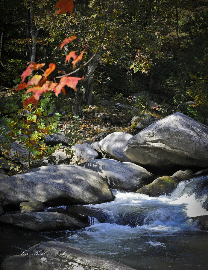 Beautiful Autumn Stream Photograph by Terry Kirkland Cook
