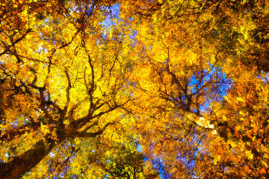 Beautiful autumnal trees yellow orange digital painting Painting by Matthias Hauser