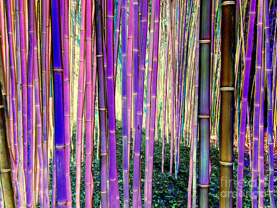 Beautiful Bamboo