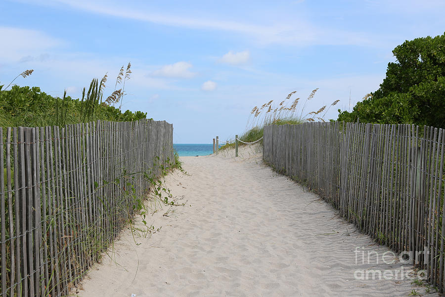 Miami Photograph - Beautiful Beach Day by Carol Groenen