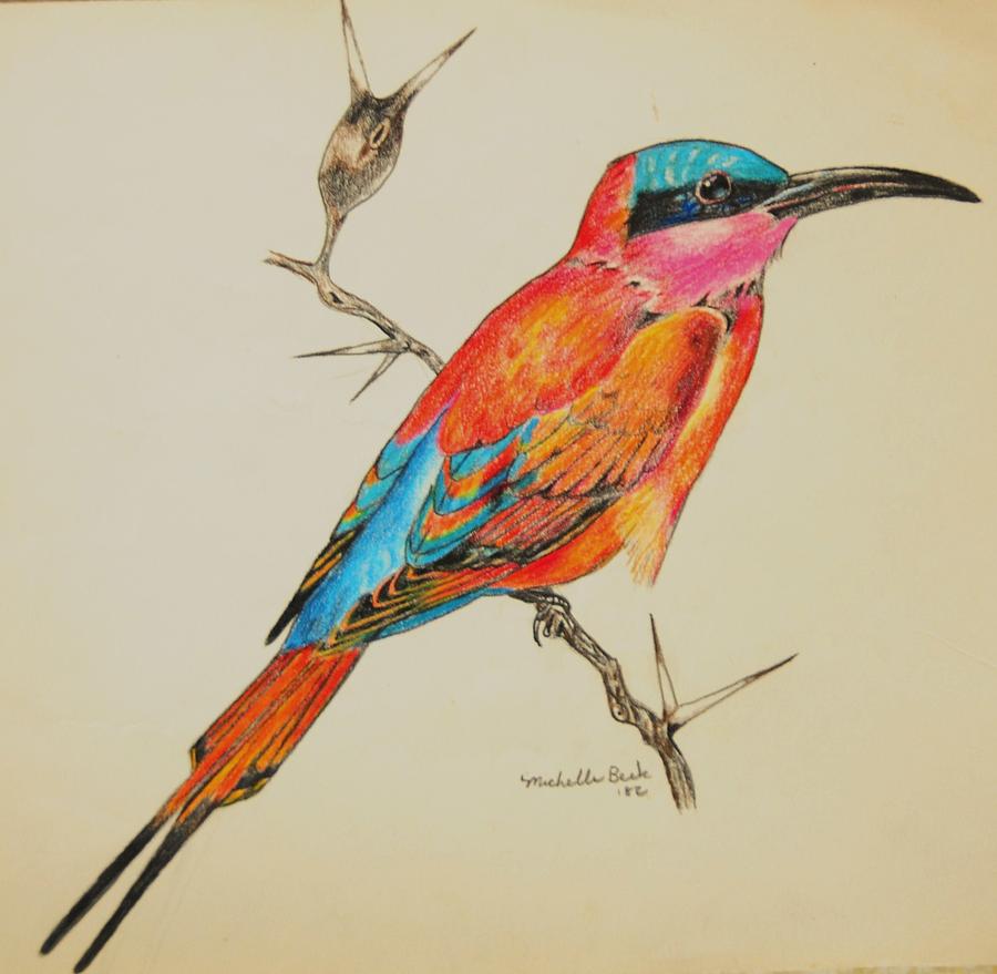 Beautiful Bird Sketch