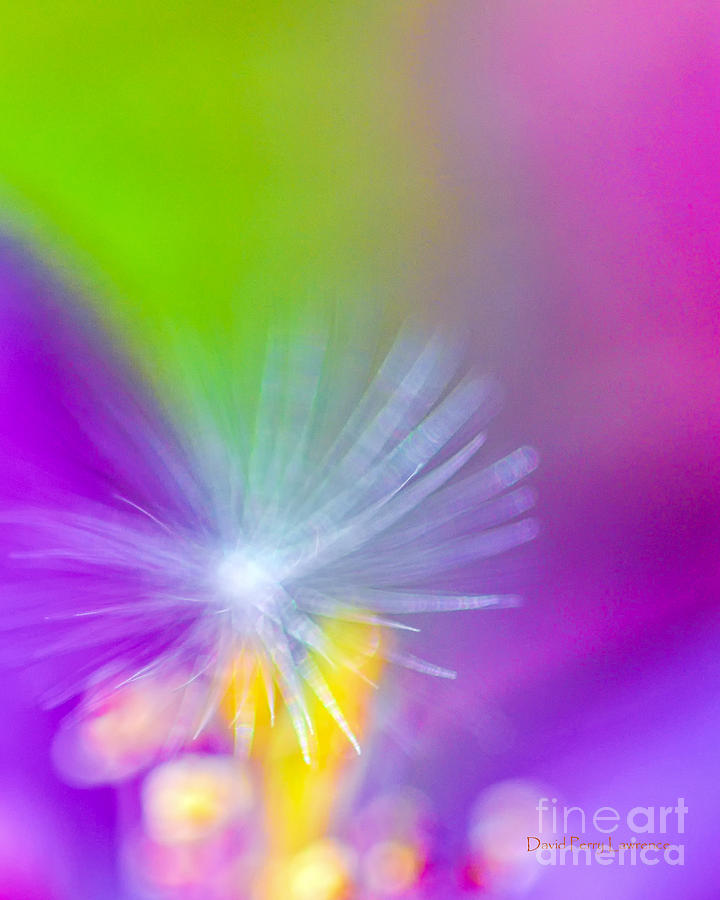 Spring Photograph - Beautiful Blur by David Perry Lawrence