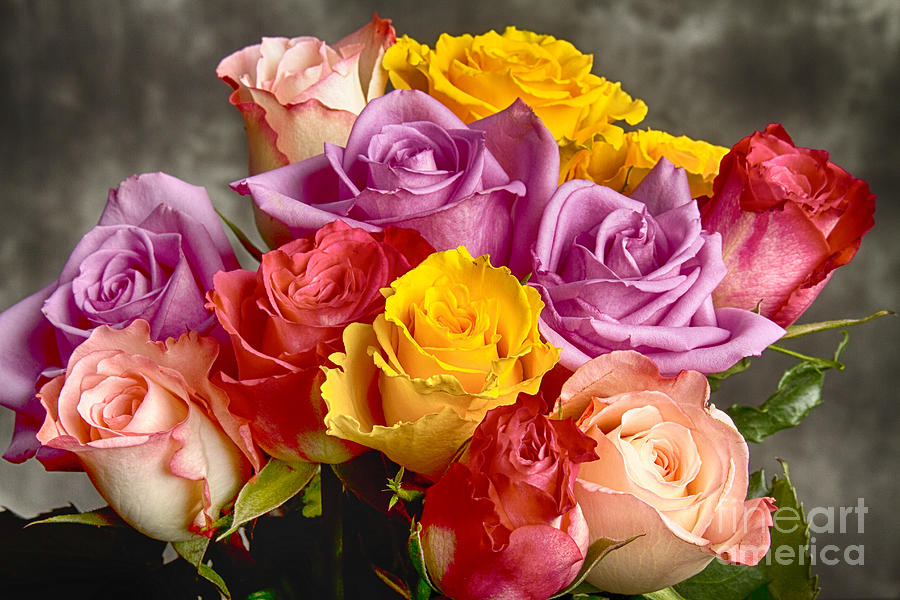 Beautiful Bouquet Of Multicolor Roses Photograph by James BO Insogna
