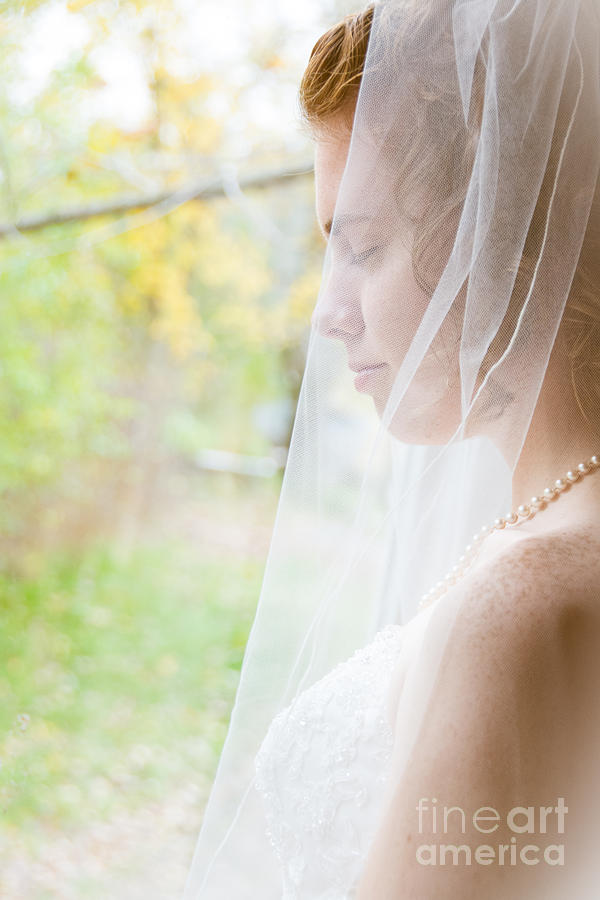 Beautiful Bride Photograph by Cheryl Baxter