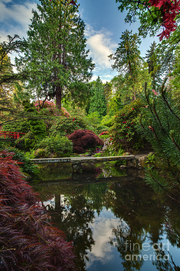 Kubota Garden Photograph - Beautiful Bridge Across the Calm Pool by Mike Reid
