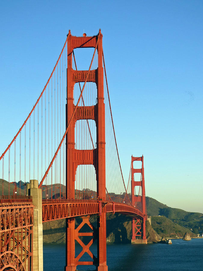 Beautiful Bridge Photograph by Judy Allen - Fine Art America