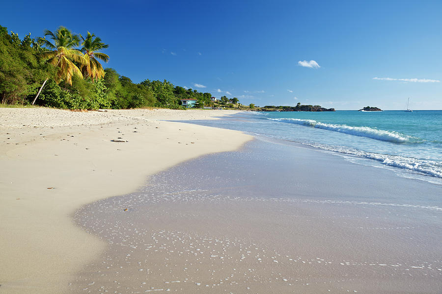 Summer Photograph - Beautiful Caribbean Beach by Michaelutech