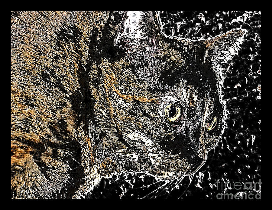 Beautiful Cat Art. Black Brown Mixed Media by Oksana Semenchenko