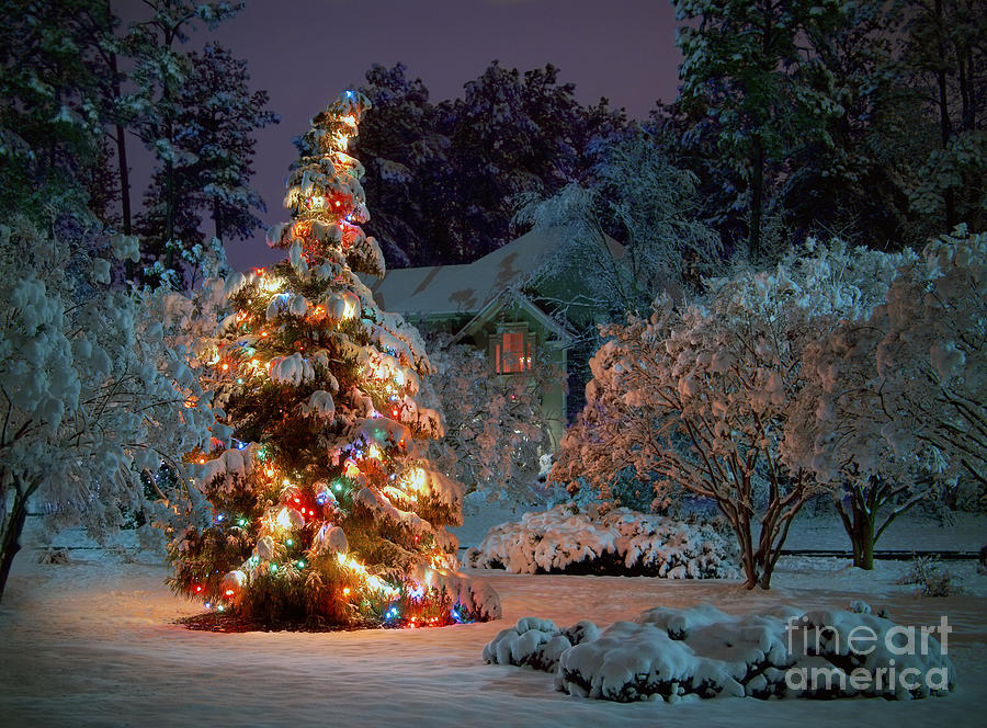 Beautiful christmas tree lights Photograph by Boon Mee