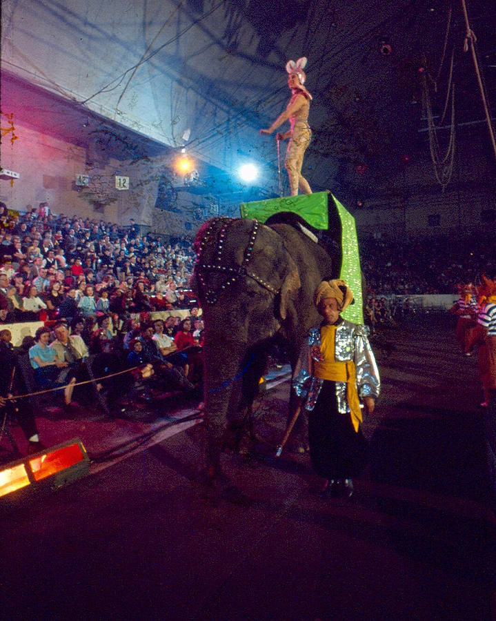 Beautiful Circus Entertainer Rides Elephant Photograph by Retro Images Archive