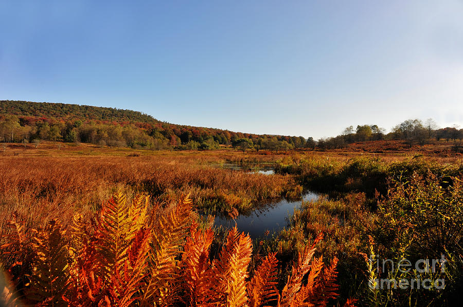 Beautiful clear crisp fall day Canaan Valley Photograph by Dan Friend