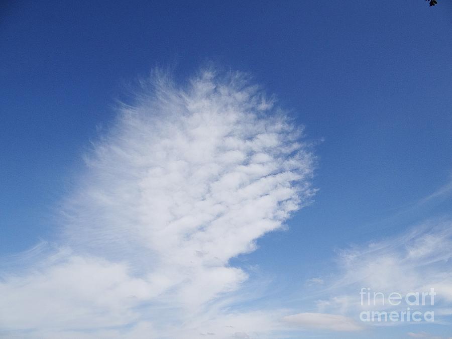 Beautiful cloud Photograph by Karin Ravasio