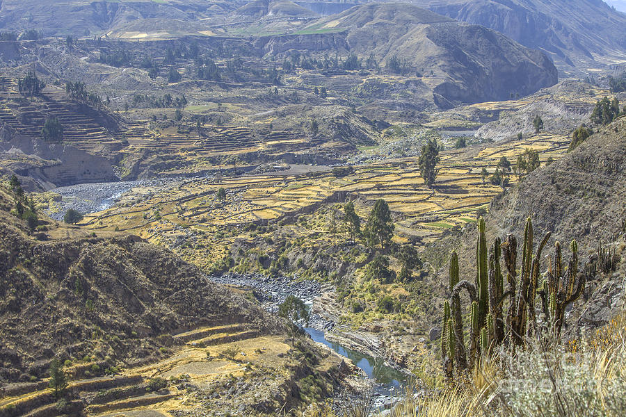 Beautiful Colca Canyon Photograph by Patricia Hofmeester