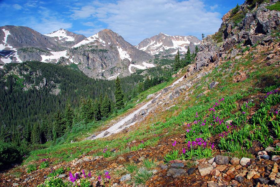 Beautiful Colorado Mountain Summer Photograph by Cascade Colors