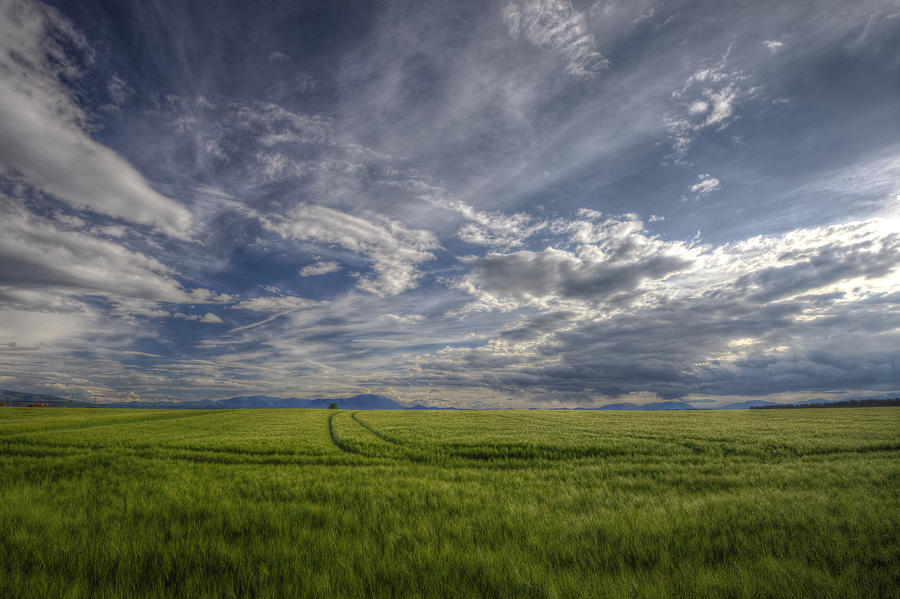 Beautiful countryside Photograph by Ivan Slosar