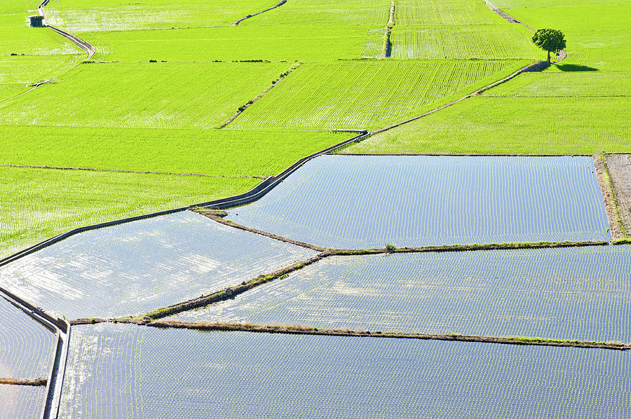 Beautiful Countryside Of Rice Paddies Photograph by Clover No.7 Photography