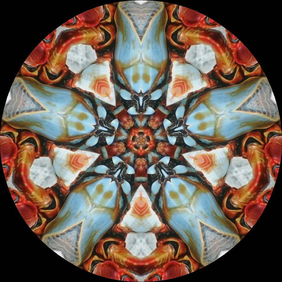 Nature Digital Art - Beautiful Crab 1 by Dreams in the  Kaleidosphere
