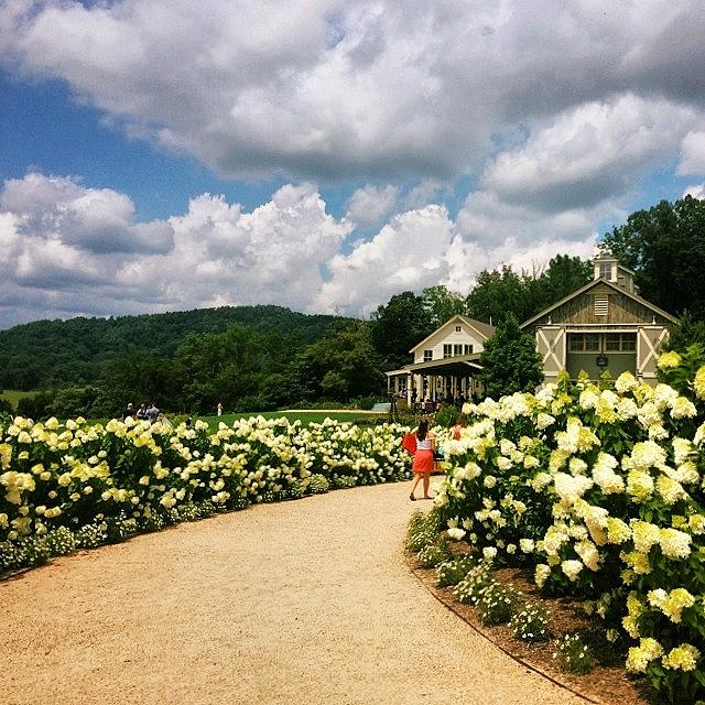 Vsco Photograph - Beautiful Day For Wine Tasting With by Olivia Witherite
