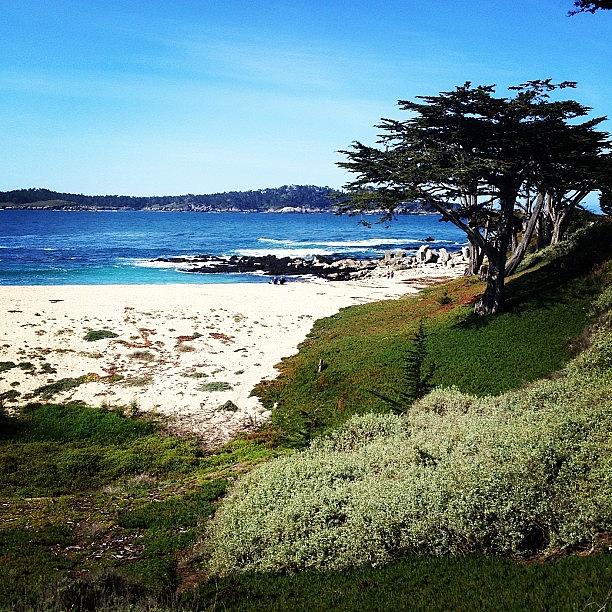 Beautiful Day In Carmel Photograph by Patty Schmidt