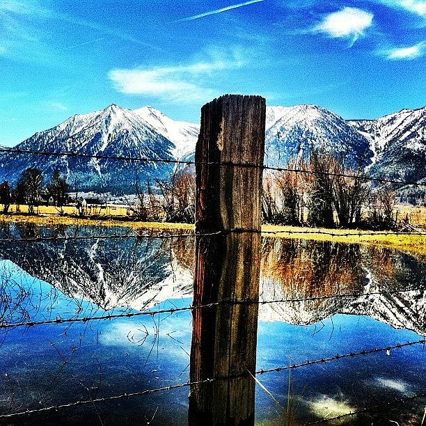 Nature Photograph - Beautiful Day In Gardnerville by David Williams
