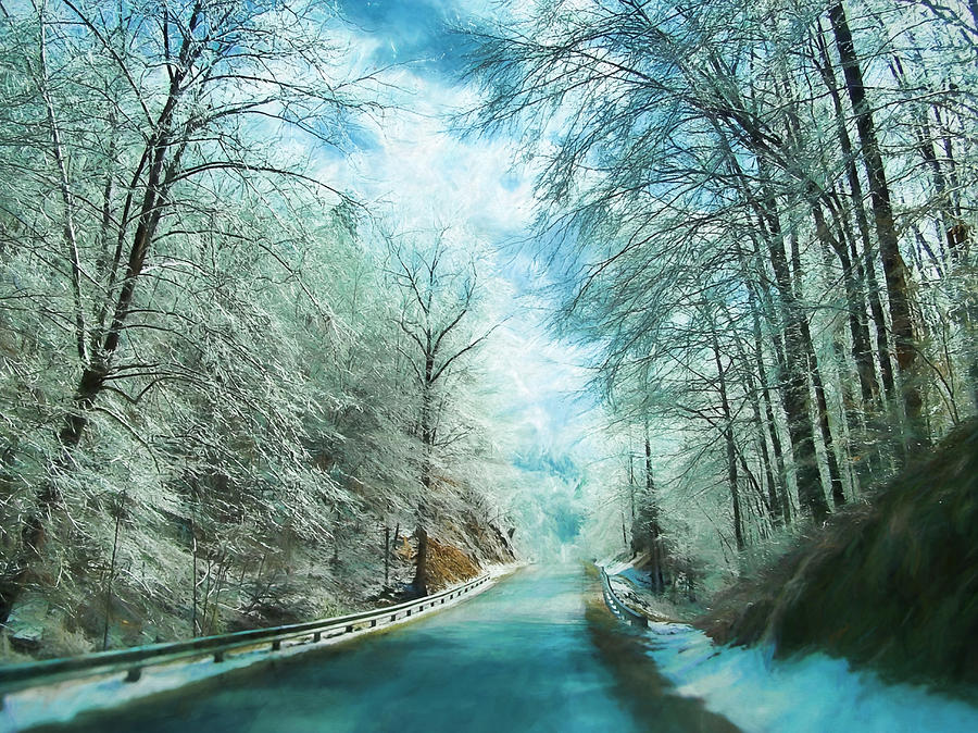 Winter Photograph - Beautiful Day by Kathy Jennings