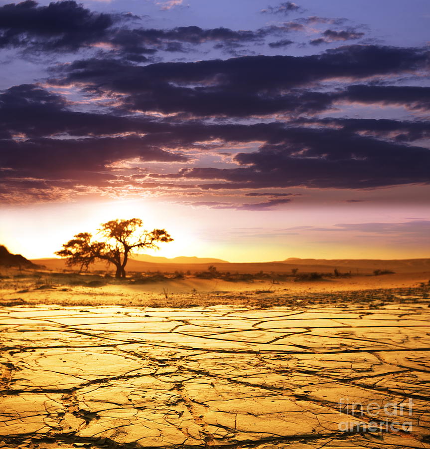 Beautiful Photograph - Beautiful Dead Valley by Boon Mee