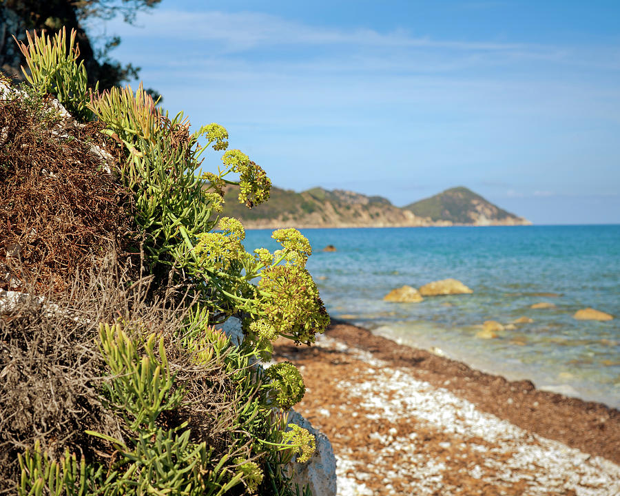 Beautiful Elba Island, Italy Photograph by Scacciamosche