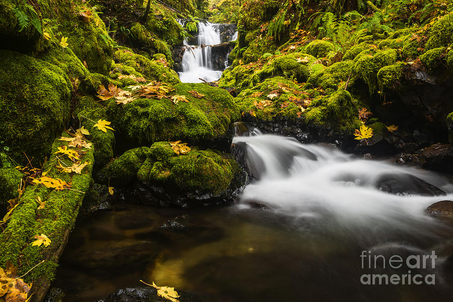 Beautiful Emerald Falls Columbia River Gorge Photograph by Vishwanath ...