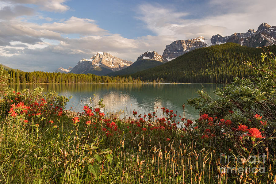 Summer Photograph - Beautiful Evening at Upper Waterfowl Lake by Charles Kozierok