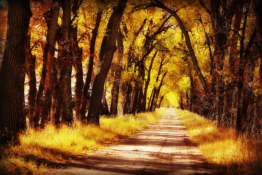 Beautiful Fall Day in Nebraska Photograph by Julie Hamilton