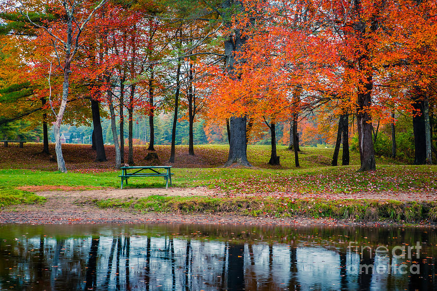 Beautiful Fall Foliage in New Hampshire Photograph by Edward Fielding ...