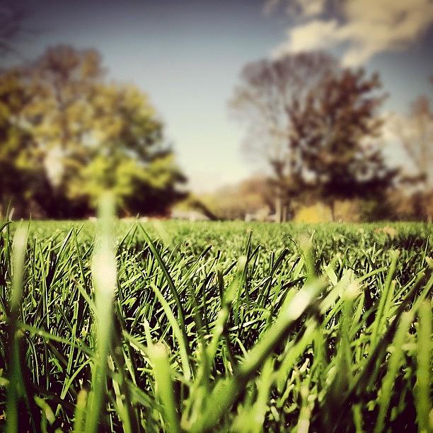 Beautiful Fall Weather... Green Grass! Photograph by Chase Budurka