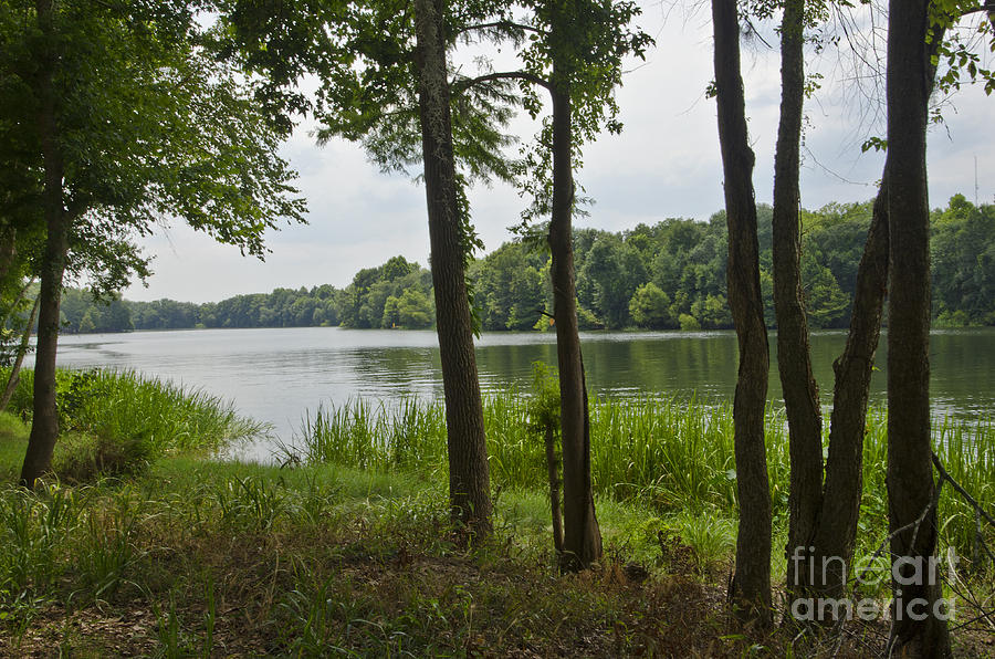 Bainbridge Photograph - Beautiful Flint River by Debra Johnson Bainbridge Photograph - Beautiful Flint River by Debra Johnson