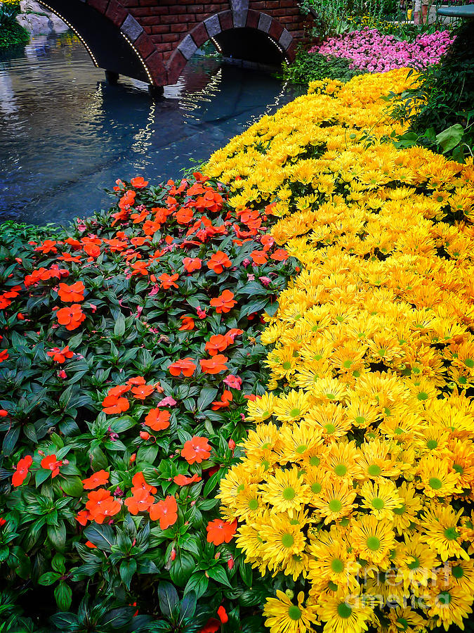 Flower Photograph - Beautiful Flower Garden Bellagio Las Vegas by Edward Fielding