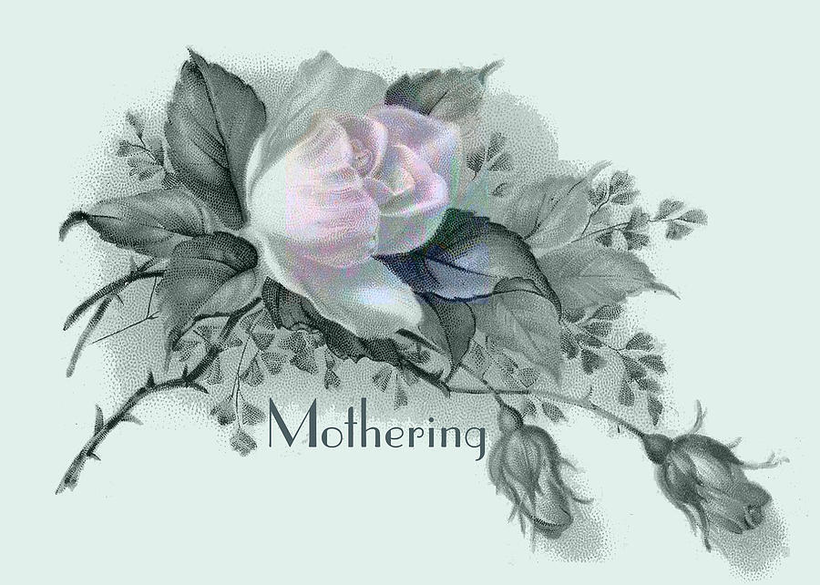 Beautiful Flowers For Mothers Day Digital Art By Sarah Vernon Fine Art America