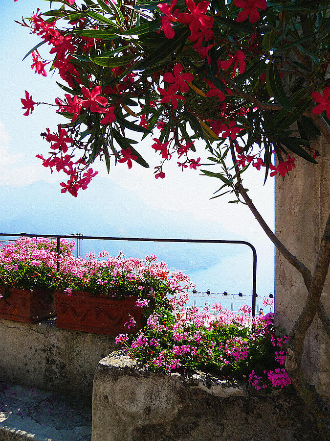 Beautiful Flowers Of Ravello Italy Photograph by Irina Sztukowski