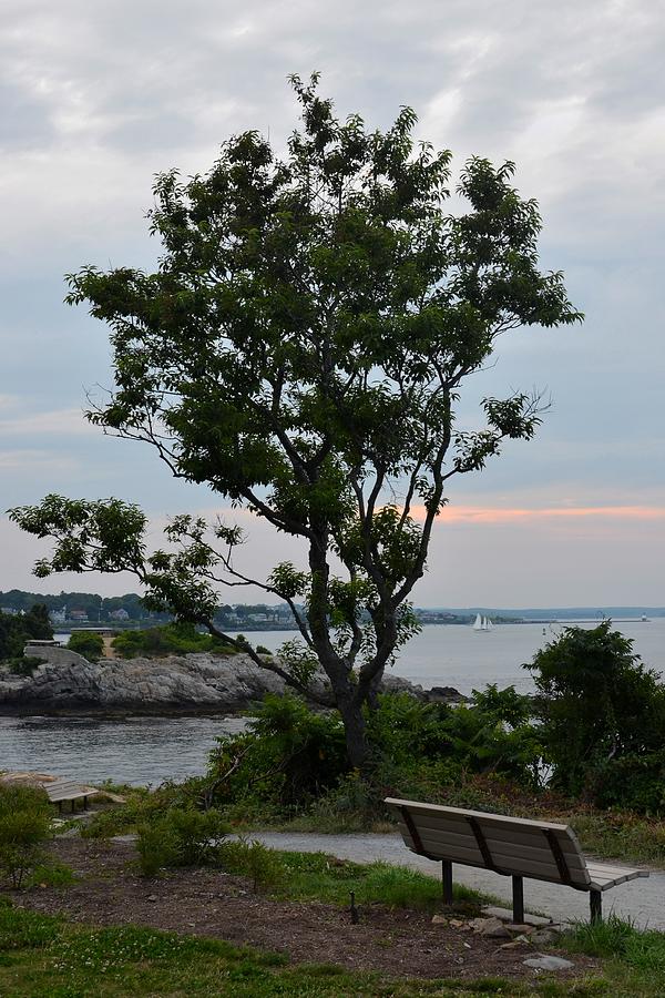 Beautiful Fort Williams park in Cape Elizabeth ME Photograph by Toby McGuire