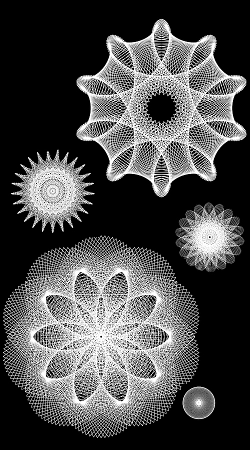 Beautiful Geometry BW Digital Art by Angelina Tamez