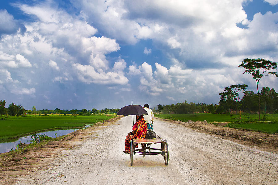 Beautiful Green Landscape in Rural Bangladesh Photograph by Raqeebul Ketan
