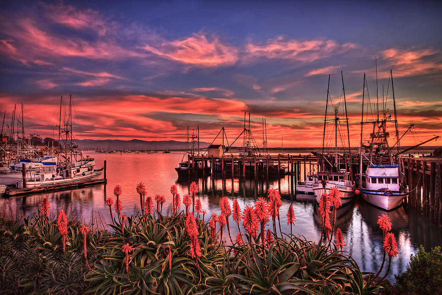 Beautiful Harbor Photograph by Beth Sargent