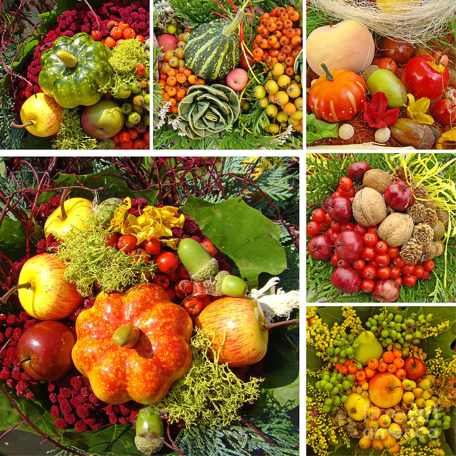 beautiful Harvest Collage Photograph by Boon Mee