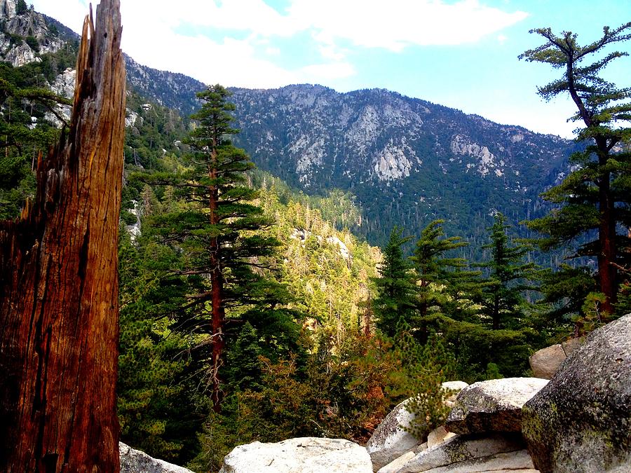 Beautiful Idyllwild Photograph by Christine Owens
