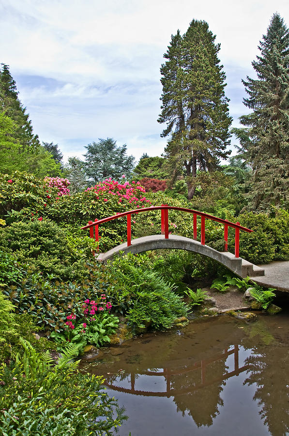 Beautiful Japanese Garden Landscape With Red Bridge Photograph by ...