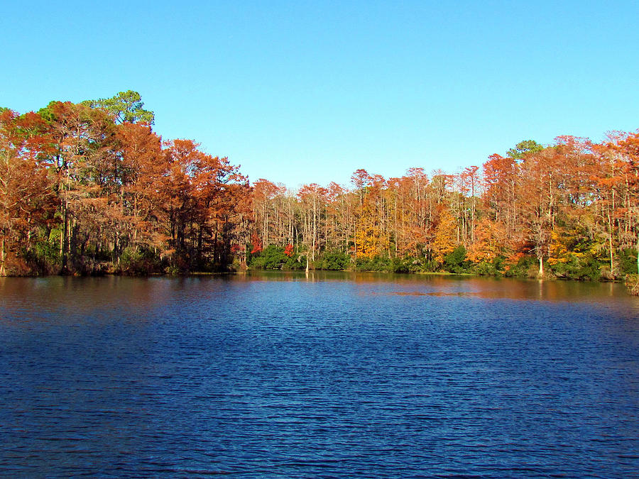 Beautiful Lake Photograph by Cynthia Guinn - Fine Art America