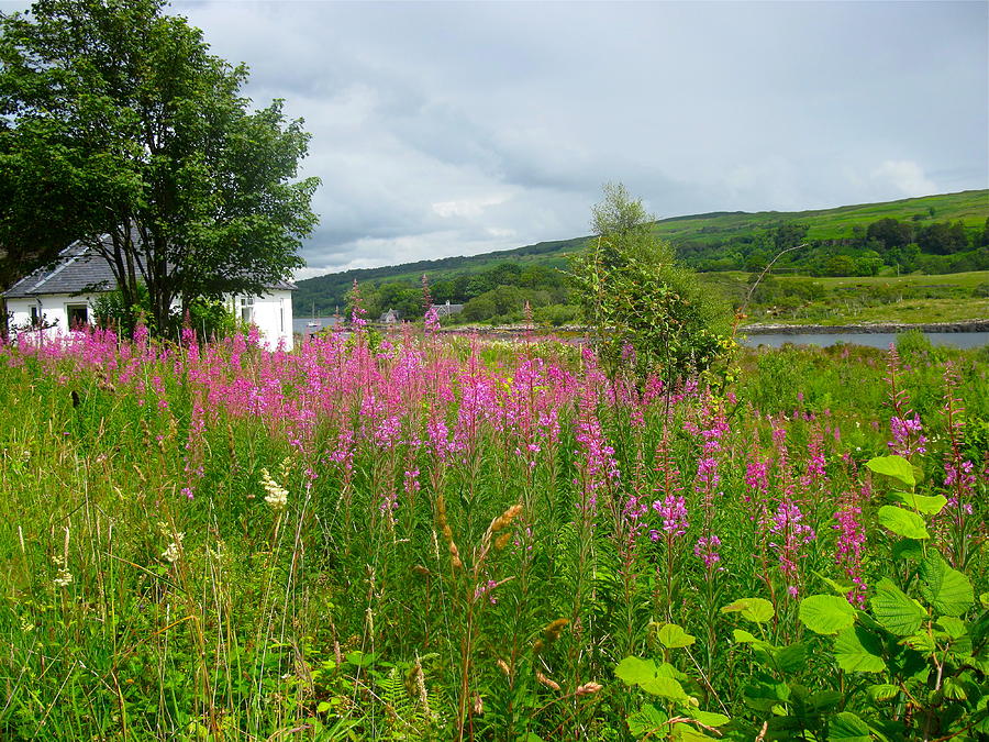 Beautiful Lochaline Landscape Photograph by Denise Mazzocco